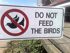 sign "do not feed the birds" with flying bird in a null symbol