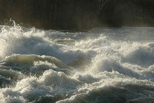 Rapids (flickr: amerune)